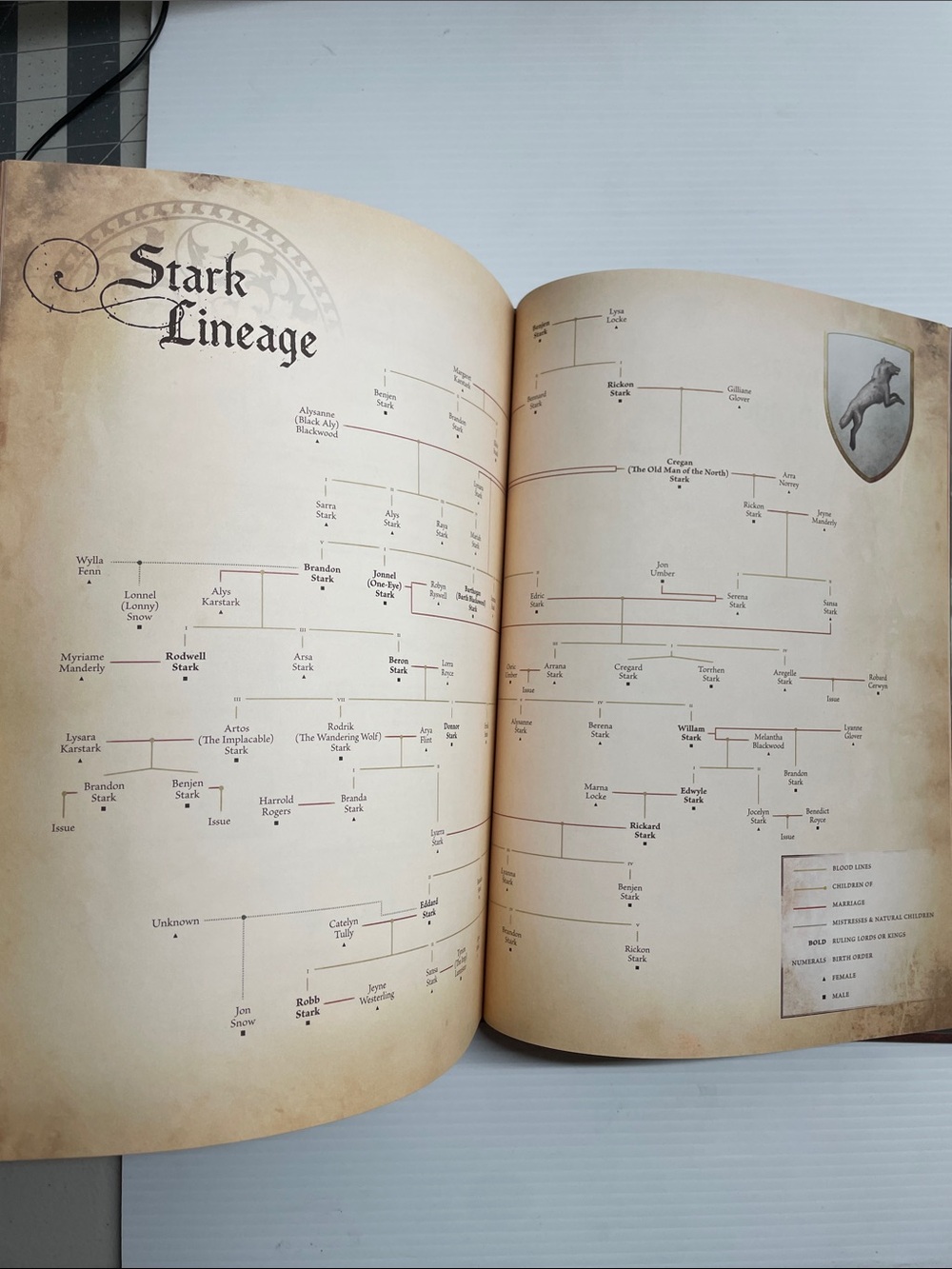 The World of Ice & Fire: The Untold History of Westeros and the Game of Thrones - Picture 9 of 12